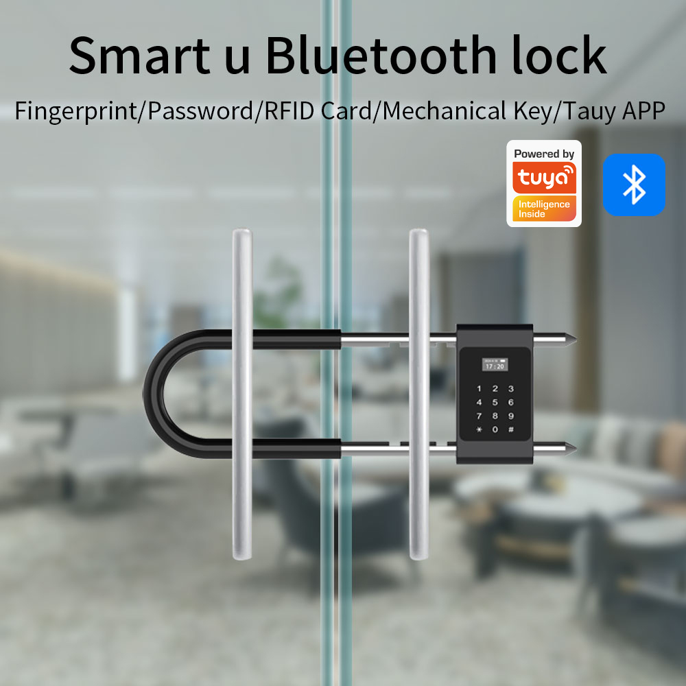Elektronisches biometrisches F – Smart Door Lock Wifi Bewertung und Preis